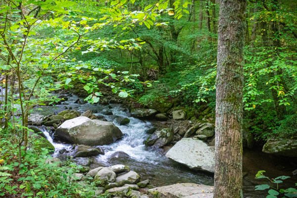 Welcome Autumn! Saturdays at Gateway Natural Area