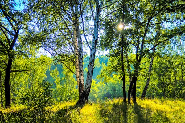End of Summer: Saturdays at Gateway Natural Area