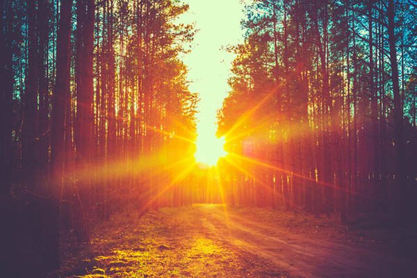 October Splendor! Saturdays at Gateway Natural Area