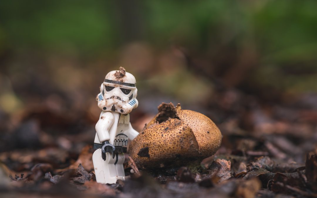 How Will Artificial Intelligence (AI) Impact Forest Bathing?