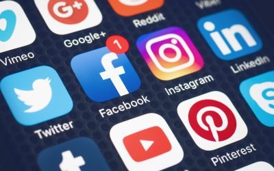 Are people searching “forest bathing walks near me” on social media?