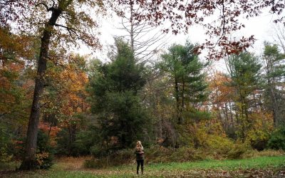 10 Ways to Find Calm Amidst the Hectic Holidays