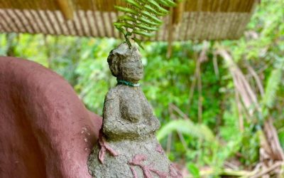 Nature Connection & Human Health