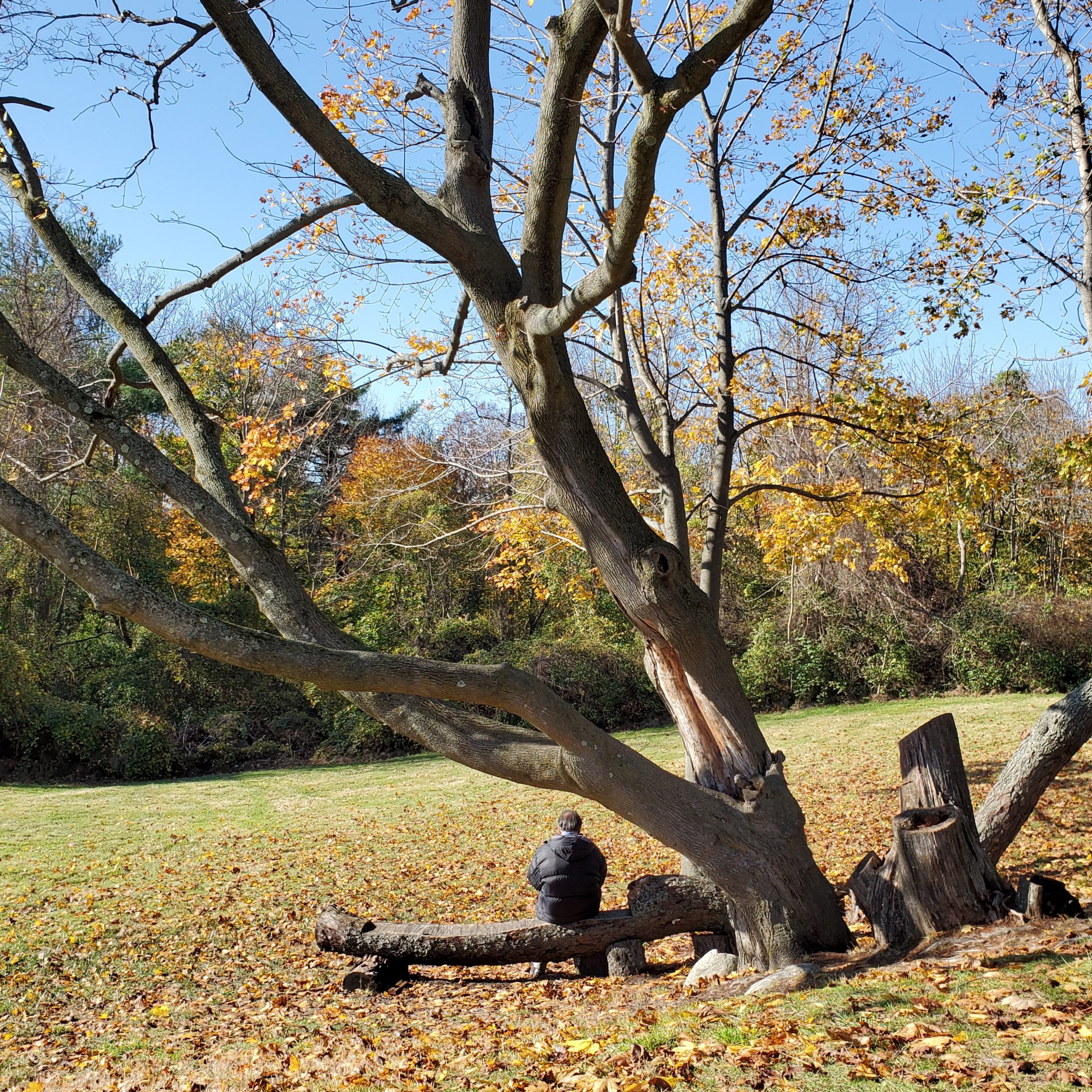 Sands Point Preserve
