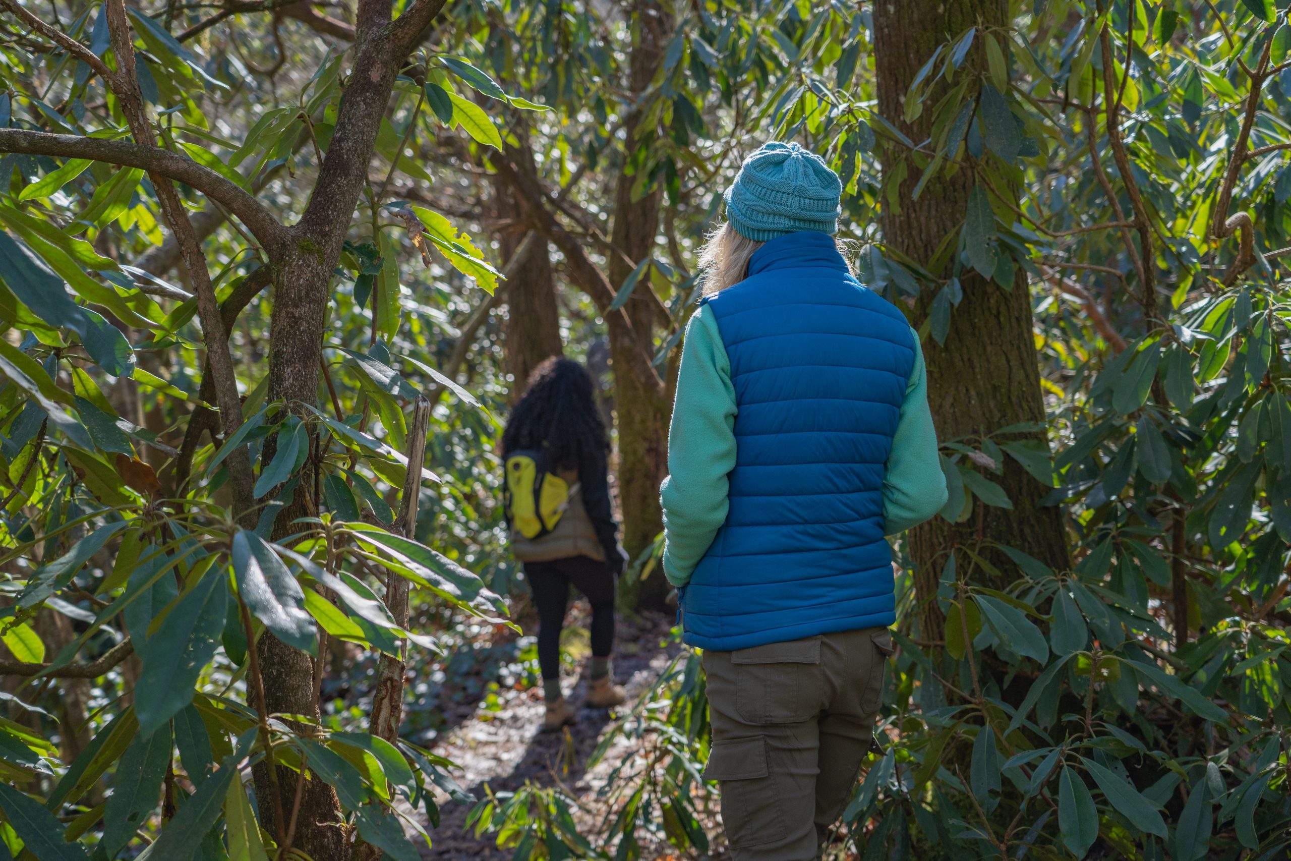 North Carolina Arboretum