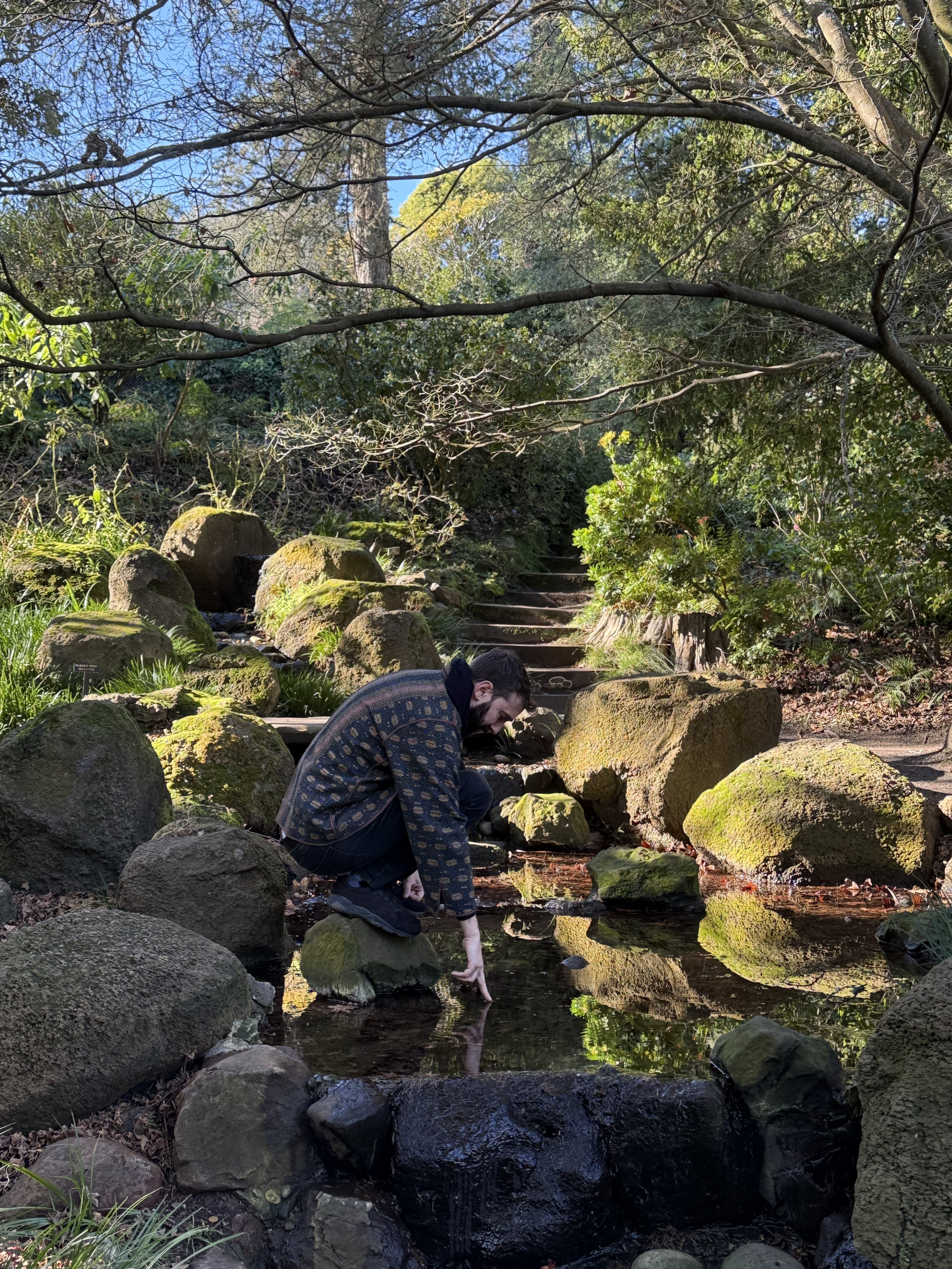 San Francisco Botanical Gardens
