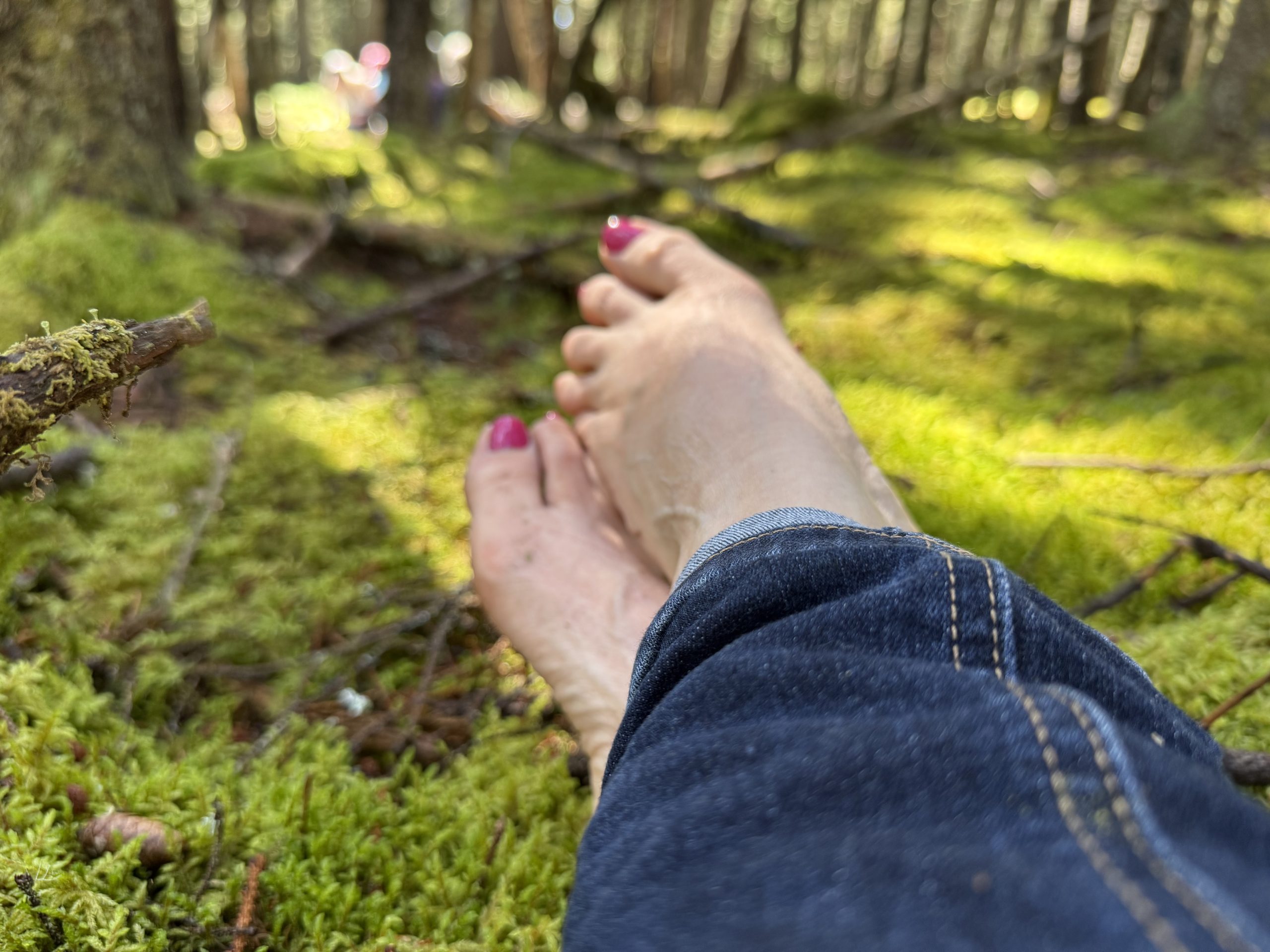 Hog Island Audubon Camp (adult programs)