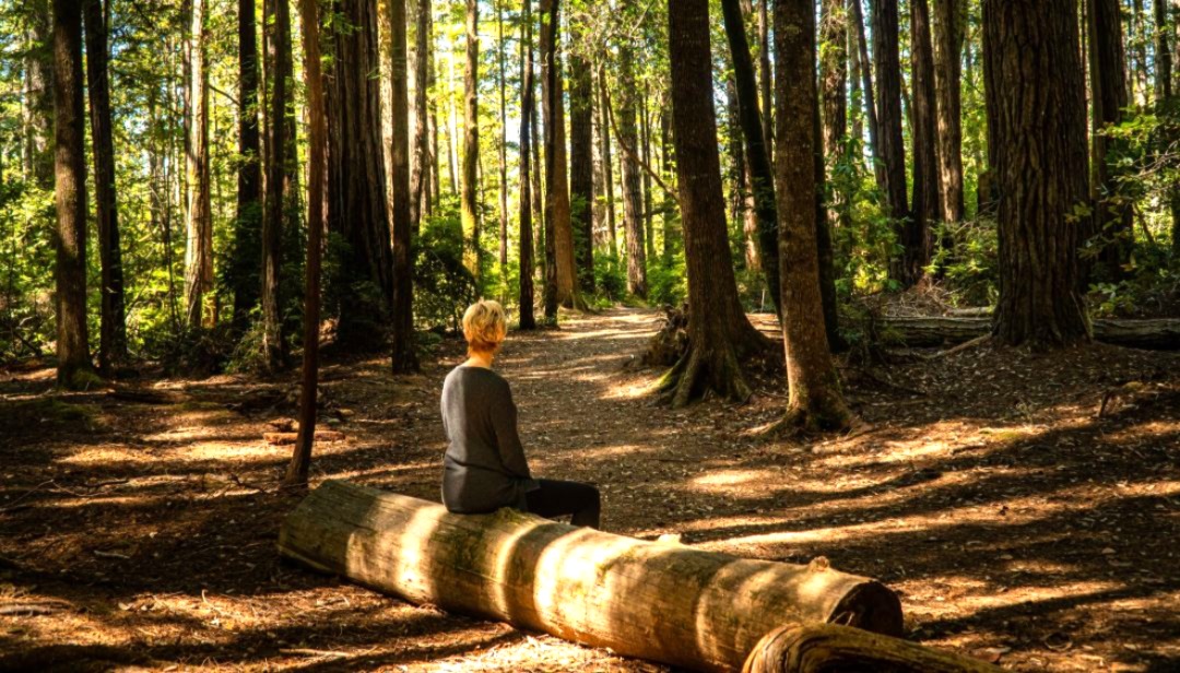Do I Need a Guide for Forest Bathing?