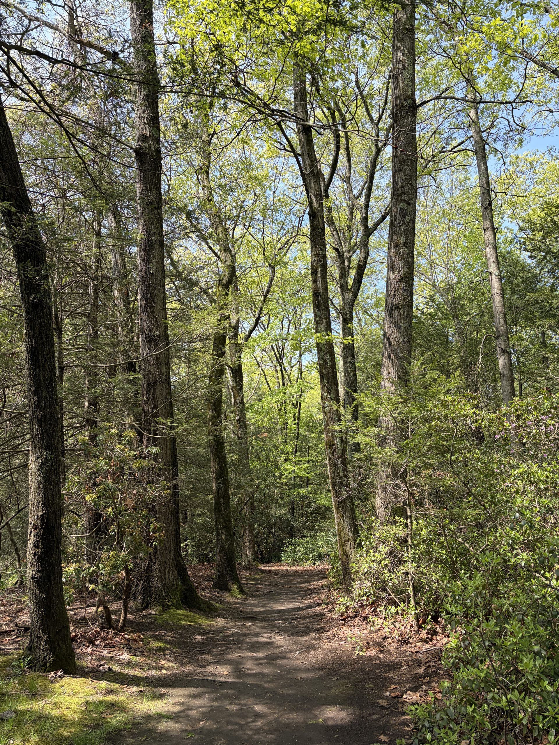 Stanley Park Wildlife Sanctuary