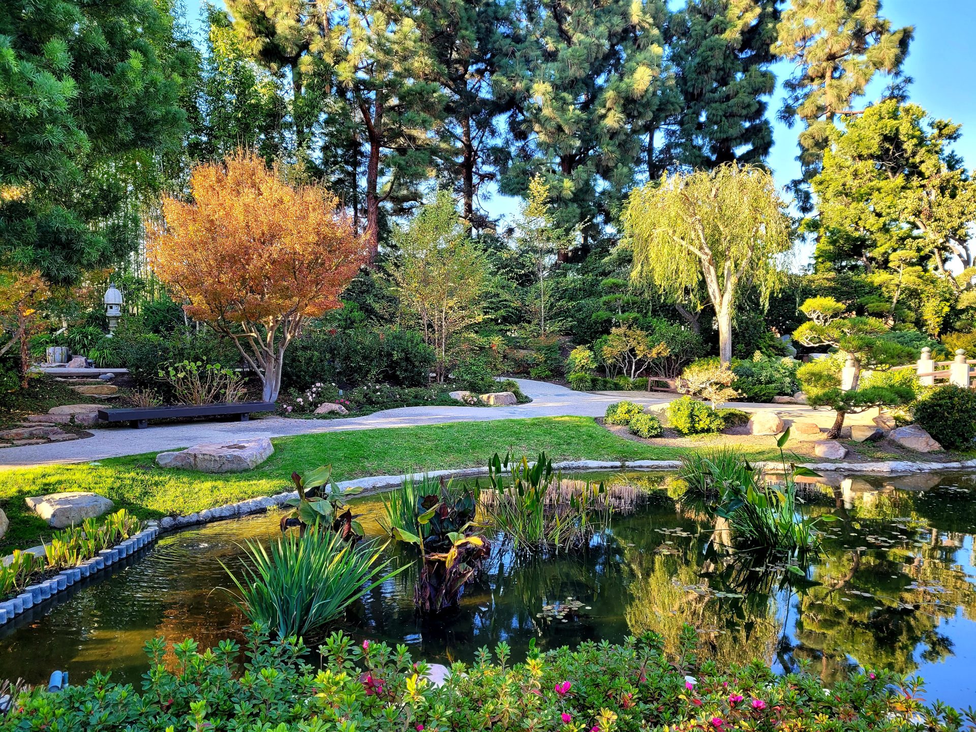Earl Burns Miller Japanese Garden at California State University Long Beach
