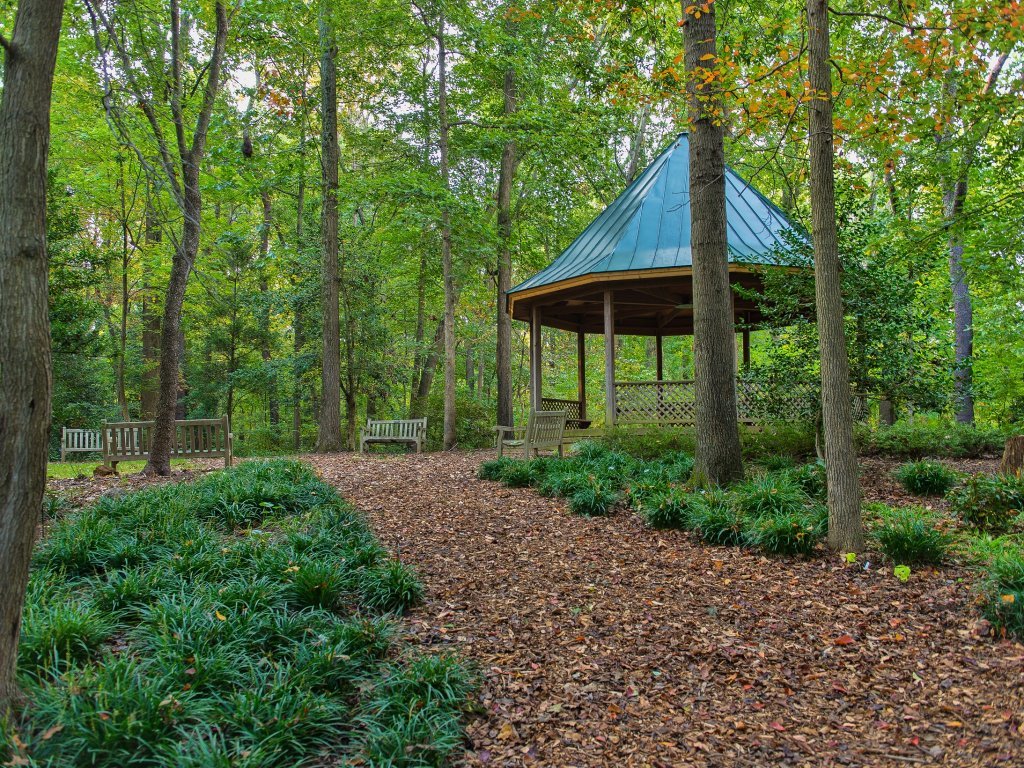 Woodland Nature Therapy: Calm & Connection Under the Canopy at Meadowlark Botanical Gardens