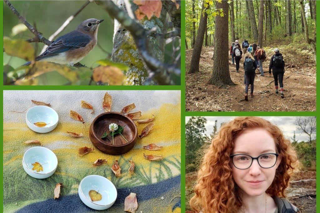 Black Friday Nature Therapy: Grounding in Gratitude at Meadowlark Botanical Gardens (Vienna, VA)