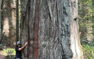Benefits of Spending Time in Nature