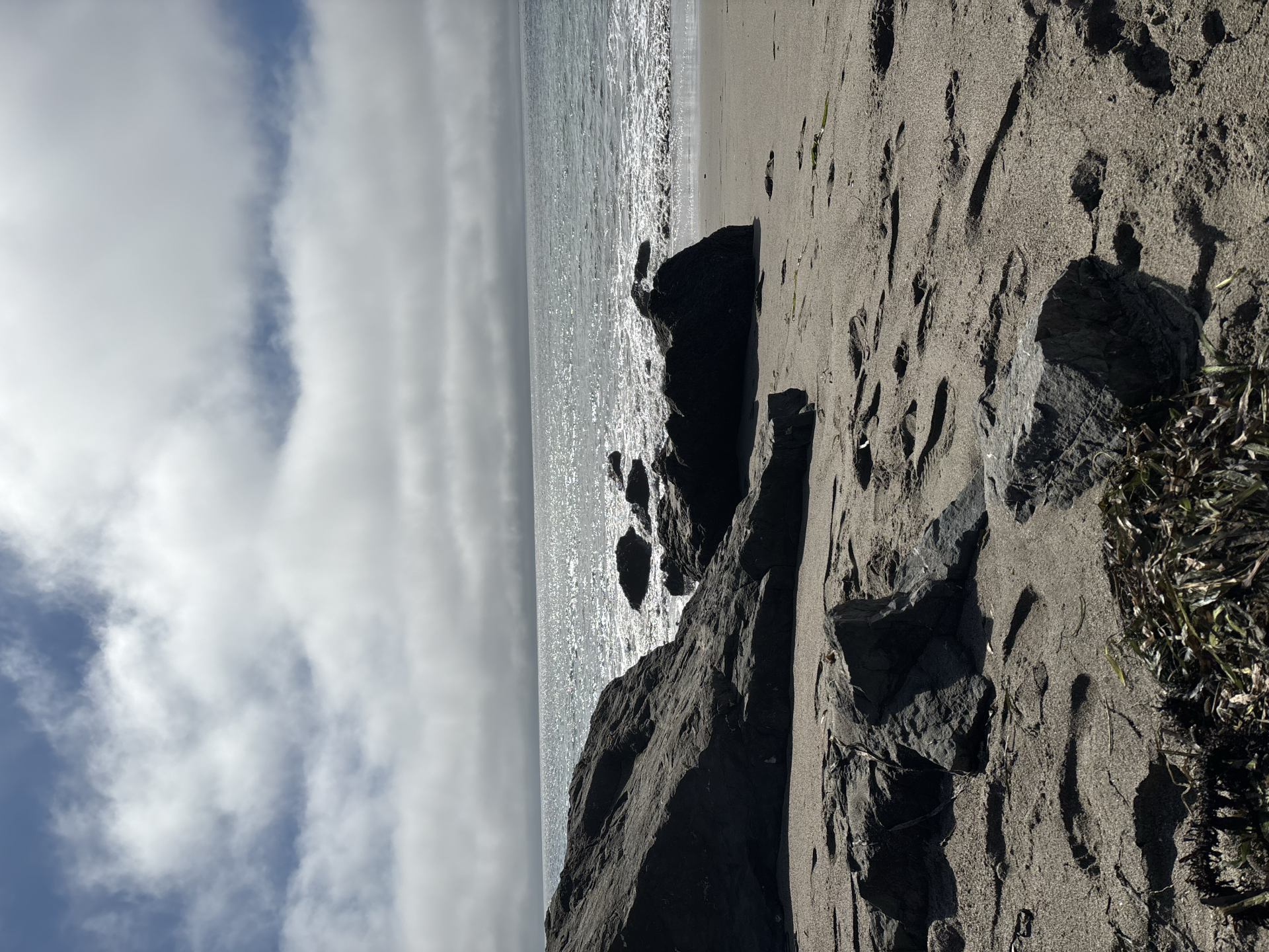 Pinnacle Gulch Sonoma Coast